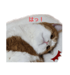 うめちゃ2（個別スタンプ：2）