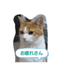 うめちゃ2（個別スタンプ：5）