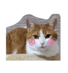 うめちゃ2（個別スタンプ：6）
