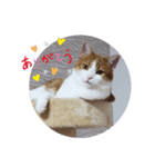 うめちゃ2（個別スタンプ：7）