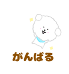 ふわふわ♪マルチーズ日常スタンプ（個別スタンプ：20）