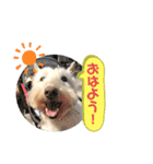 えるも と つみれ ①（個別スタンプ：4）
