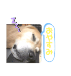 えるも と つみれ ①（個別スタンプ：5）