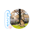 えるも と つみれ ①（個別スタンプ：6）