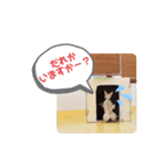 えるも と つみれ ①（個別スタンプ：10）