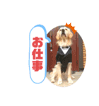 えるも と つみれ ①（個別スタンプ：11）