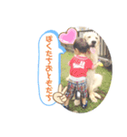 えるも と つみれ ①（個別スタンプ：13）