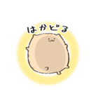 にわねこ7（個別スタンプ：31）