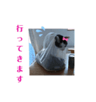 くりーむとみーこ③（個別スタンプ：1）