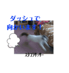 くりーむとみーこ③（個別スタンプ：2）