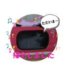 くりーむとみーこ③（個別スタンプ：3）