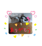 くりーむとみーこ③（個別スタンプ：4）