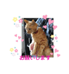 くりーむとみーこ③（個別スタンプ：5）