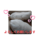 くりーむとみーこ③（個別スタンプ：6）