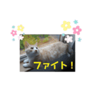 くりーむとみーこ③（個別スタンプ：8）