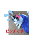 くりーむとみーこ③（個別スタンプ：14）