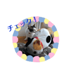 くりーむとみーこ③（個別スタンプ：17）