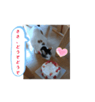 くりーむとみーこ③（個別スタンプ：18）