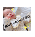 ひろと君スタンプ①（個別スタンプ：16）
