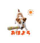 無垢＆琥珀の毎日（個別スタンプ：1）