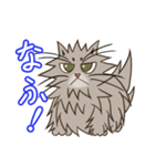 レオ＆れあ！！（個別スタンプ：1）