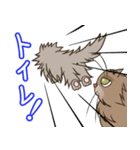 レオ＆れあ！！（個別スタンプ：3）