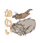 レオ＆れあ！！（個別スタンプ：7）