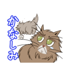 レオ＆れあ！！（個別スタンプ：11）