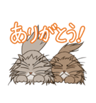 レオ＆れあ！！（個別スタンプ：15）