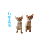 にゃいもいと茶系のおともだち（個別スタンプ：8）