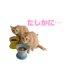 にゃいもいと茶系のおともだち（個別スタンプ：9）