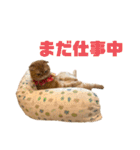 にゃいもいと茶系のおともだち（個別スタンプ：25）