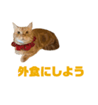 にゃいもいと茶系のおともだち（個別スタンプ：30）