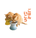 にゃいもいと茶系のおともだち（個別スタンプ：35）