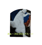うちの猫の言うことニャ①（個別スタンプ：7）