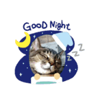 うちの猫の言うことニャ①（個別スタンプ：8）