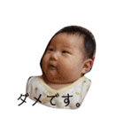 のんちゃんの成長記録（0～2）（個別スタンプ：16）