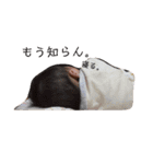 のんちゃんの成長記録（0～2）（個別スタンプ：21）