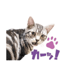 Ta Nous et Mon（個別スタンプ：4）