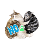 Ta Nous et Mon（個別スタンプ：7）