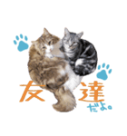 Ta Nous et Mon（個別スタンプ：8）