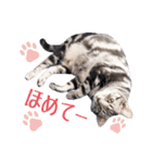 Ta Nous et Mon（個別スタンプ：9）