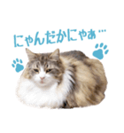 Ta Nous et Mon（個別スタンプ：10）