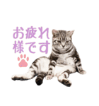 Ta Nous et Mon（個別スタンプ：12）