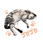 Ta Nous et Mon（個別スタンプ：13）