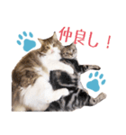 Ta Nous et Mon（個別スタンプ：14）