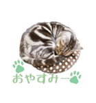 Ta Nous et Mon（個別スタンプ：18）
