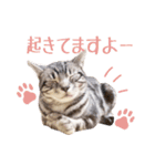 Ta Nous et Mon（個別スタンプ：19）
