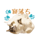 Ta Nous et Mon（個別スタンプ：20）