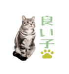 Ta Nous et Mon（個別スタンプ：21）